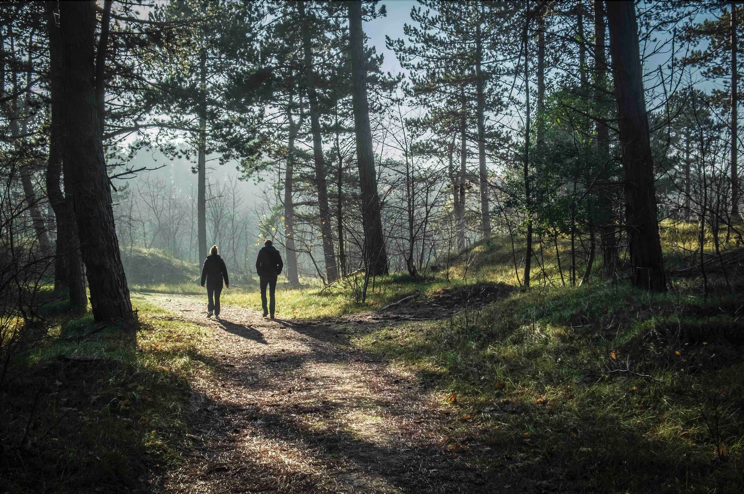 westerschouwen zeeland losloopgebieden welkoop